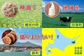 北海道まある+映画祭タイトル画像