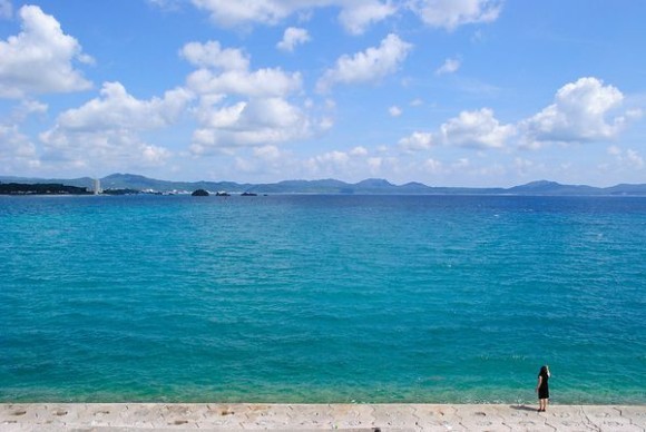 しまね中核的食品製造企業育成事業