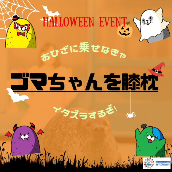 『 ゴマちゃんを膝枕体験 』 ～おひざに乗せなきゃいたずらするぞ～