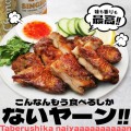 大阪王将公式通販『タイ風グリルチキン ガイヤーン』発売