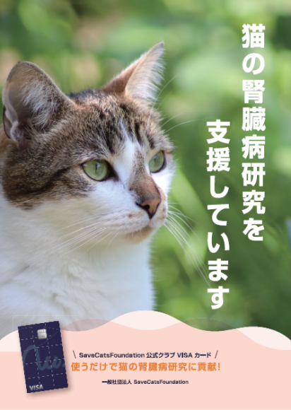 猫の腎臓病研究を支援しています　一般社団法人 SaveCatsFoundation