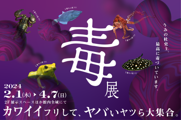 仙台うみの杜水族館「毒展」