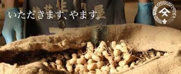 目標はギネスに挑戦！？落花生で千葉県を盛り上げる “いただきます、やますの日”まつり