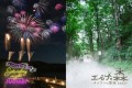 毎週土曜は湖畔の花火&雲海広がる魔法の森へ 「メッツァの花火 2023 -Saturday night HANABI-」「エルフの森 -メッツァの雲海 2023-」開催決定!