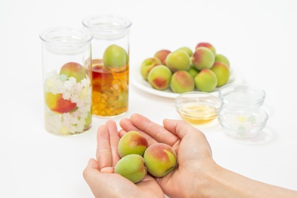 「“旬の”梅酒キット」