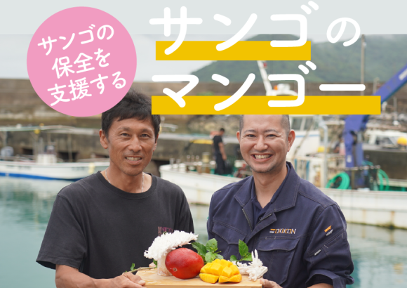 サンゴのマンゴー