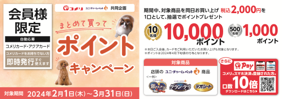 コメリカード、アクアカード会員様向けの ポイントなどが当たるお得なキャンペーン