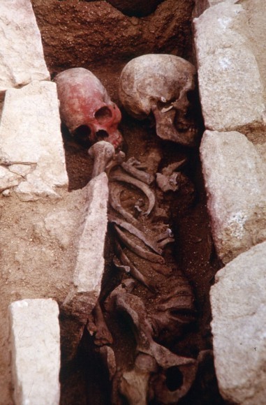 府中市山の神1号古墳から出土した人骨