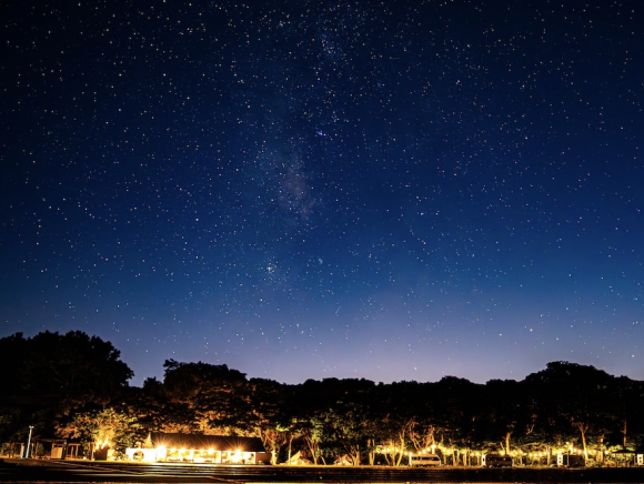 【大分県豊後高田市】12月25日〜29日まで「海辺のイルミネーション」を開催