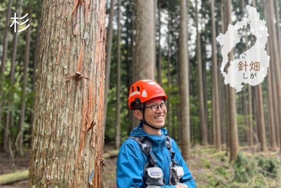 もくわく針畑杉