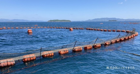 ニッスイ、養殖フロートの切り替え完了で環境負荷を大幅削減