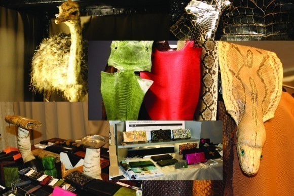 個性的で唯一無二の表情をもつエキゾチックレザーたち