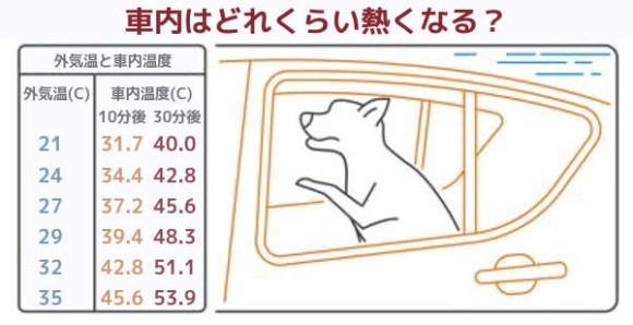 車内はどれくらい熱くなる？