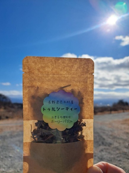 トゥルーシーティー