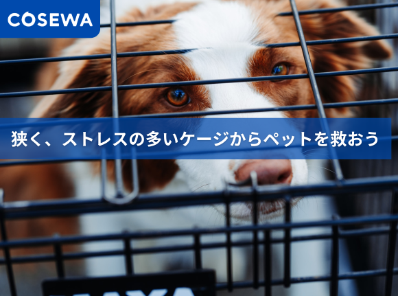 Cosewaクラウドファンディング