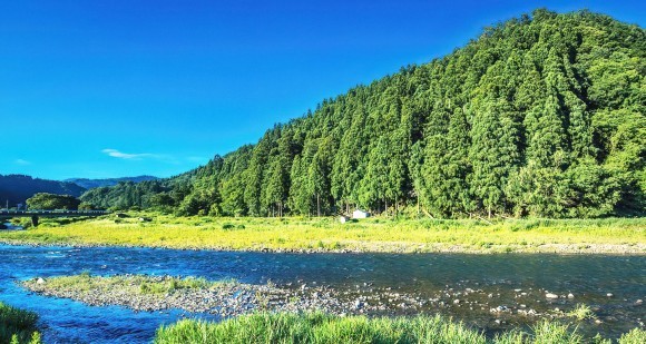 「生物多様性」の国内外の方向性