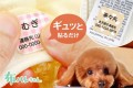 ペット用の迷子対策シール「わんにゃん迷子シール」