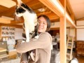 新連載「あさま・びと」始動！（譲渡型保護猫カフェ 猫恩（にゃおん）・オーナー）