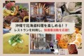 沖縄で北海道料理を楽しめる！？レストランを利用し、保護猫活動を応援！