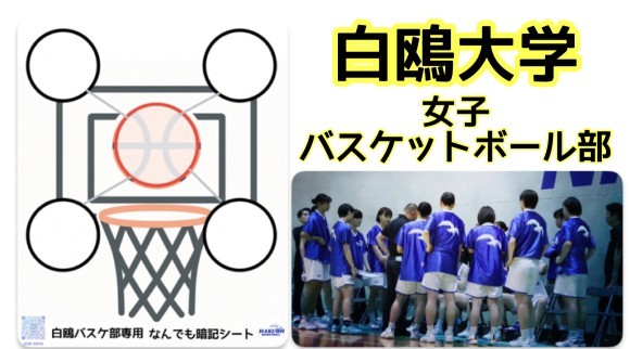 白鴎大学女子バスケ