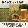 千葉市産大麦のビールの挑戦