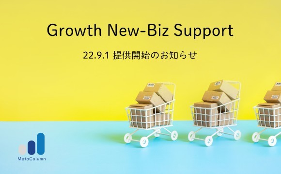 メタコラム社、新規事業マーケティング支援「Growth New-Biz Support」プログラム提供開始