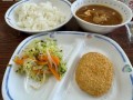 自然栽培じゃがいものコロッケ5万個を 豊田市の全公立学校給食へ