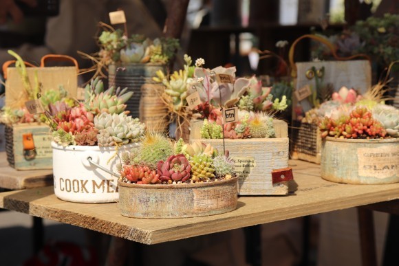 マルシェイメージ