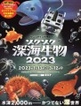 ゾクゾク深海生物2023