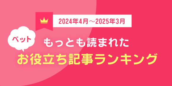 株式会社エレメント
