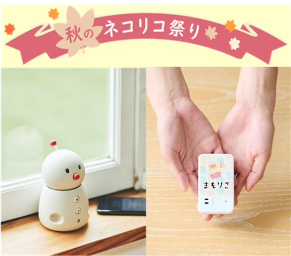 秋のネコリコ祭り