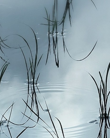 きらめきぷらすで好評連載中の、川喜田 晶子さん「写真短歌」7月の写真短歌