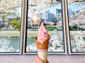アムカフェ店内にあるスマート窓と桜ソフトクリーム