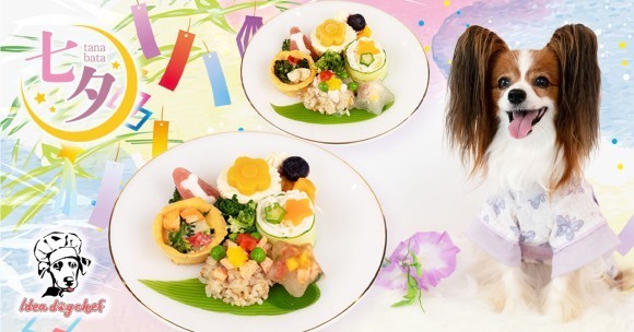 愛犬用七夕プレート(サーモン、チキン)