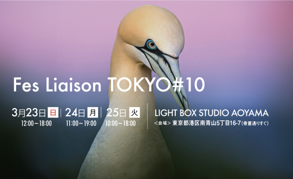 第１０回ライフスタイル合同展示販売会フェス・リエゾンは３月２３日（日）から３日間開催されます！