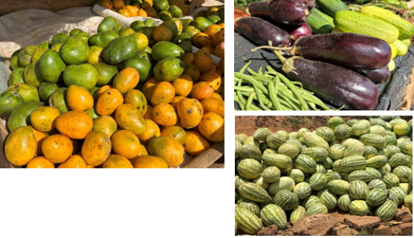 市場に並ぶマラウイの食材