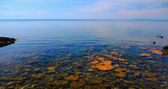 マイクロプラスチック削減に向けたグッド・プラクティス集とは