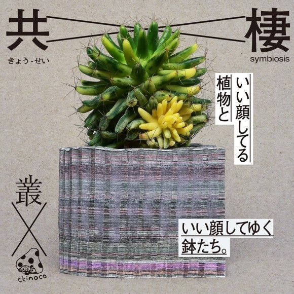 共棲　叢x Ckinoco展