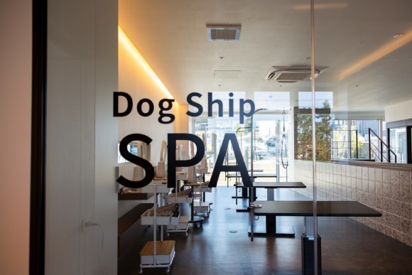 Dog Ship SPA