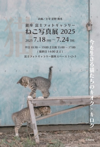 写真：teru / デザイン：サトウミキ