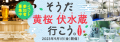 リアルサンプリングラボ「そうだ 黄桜 伏水蔵 行こう。2023」（RSL42）