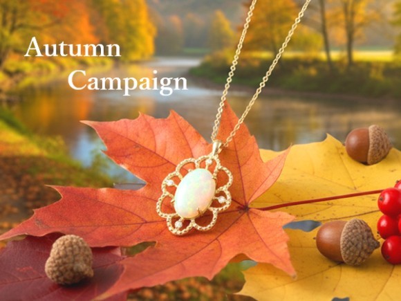 2025年秋に結婚指輪・婚約指輪・リフォーム・ファミリーリング・スイートテンダイヤモンドをお探しの方へ、お得なキャンペーンのご案内です。