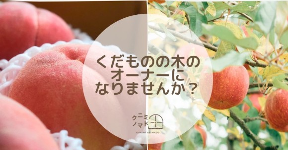 1本の桃やりんごの木を複数人でシェアする「桃の木オーナー制度」および「りんごの木オーナー制度」の申し込み受付中