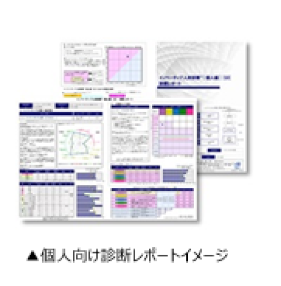 個人向け診断レポートイメージ