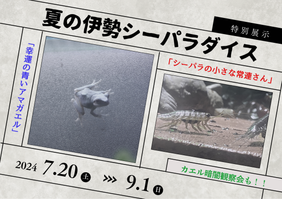 伊勢シーパラダイスの夏休み特別展示！！