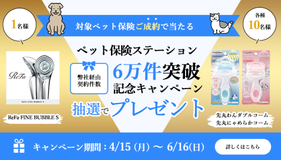 株式会社エレメント