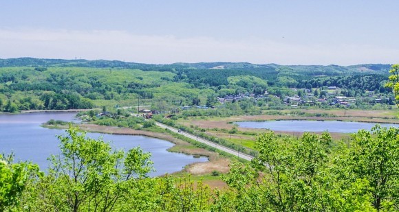 ネイチャーポジティブで事業創出が増えてきている背景