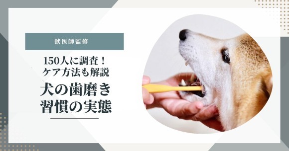 株式会社エレメント