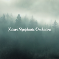 Nature Symphonic Orchestra / Calming Nature