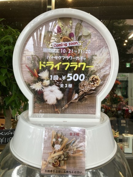 フラワーガチャ、新アイテム、ドライフラワーブーケが当たります！！